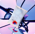 ache erasing bundle