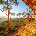 Australian Bush - Fragrance Oil (Luxaroma)