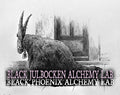 Black Julbocken Alchemy Lab Perfume Oil