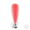 Coral 106 | Fuzion Paintz