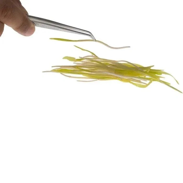 Hand holding a pair of tweezers plating yellow vegetables on a white background