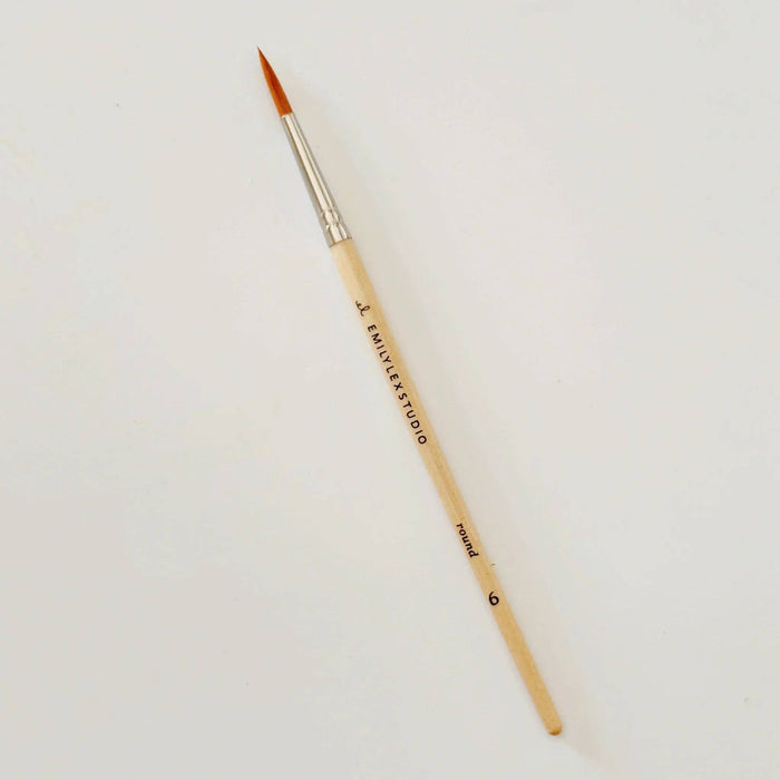 emily lex studio Watercolor Paintbrush Set