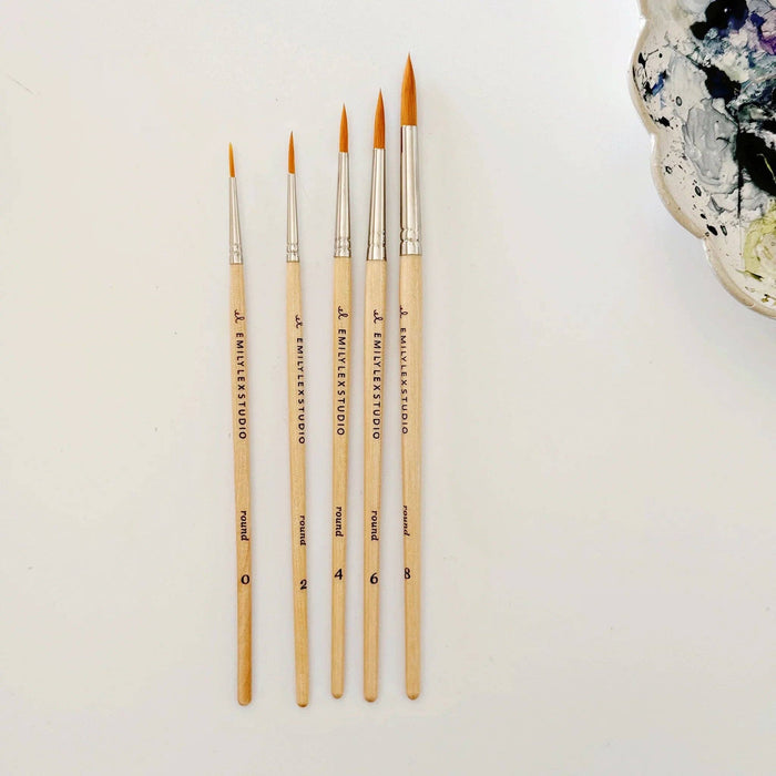 emily lex studio Watercolor Paintbrush Set