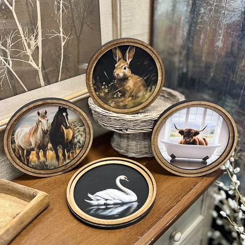 Framed Animal Decor