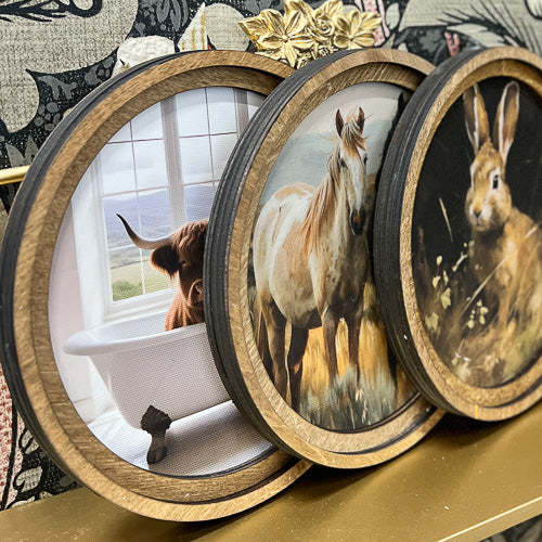 Framed Animal Decor