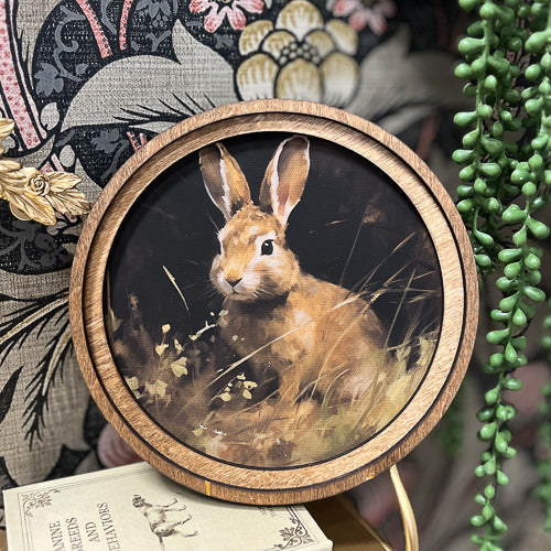 Framed Animal Decor