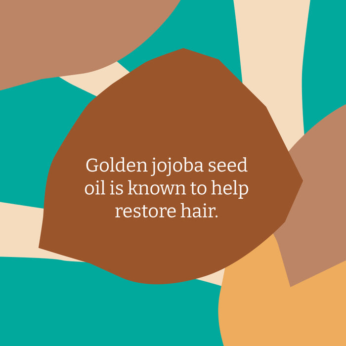 Jojoba shampoo & conditioner set