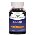 Nature's Way: Sambucus Elderberry Gummies for Kids