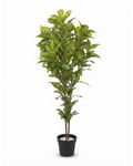 Tall artificial green plant with textured leaves in black pot