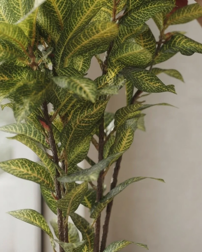 Artificial green leaves with yellow variegation on tall plant, close-up