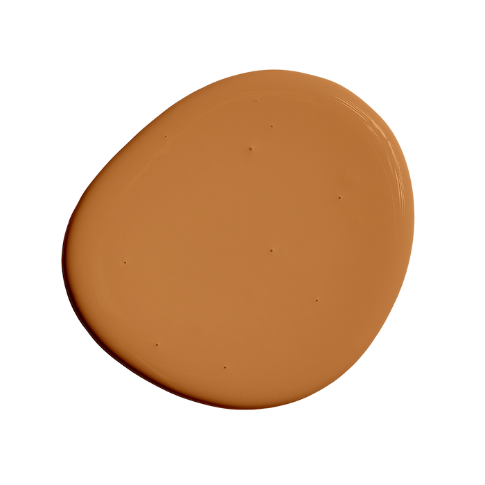 Rocky Racoon