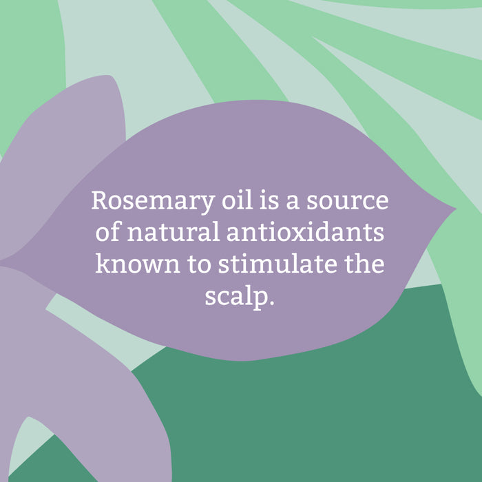Rosemary shampoo & conditioner set
