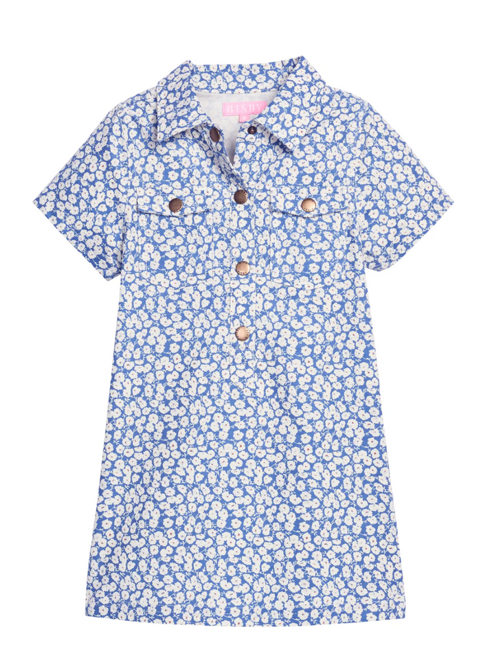 Safari Blue Corduroy Dress