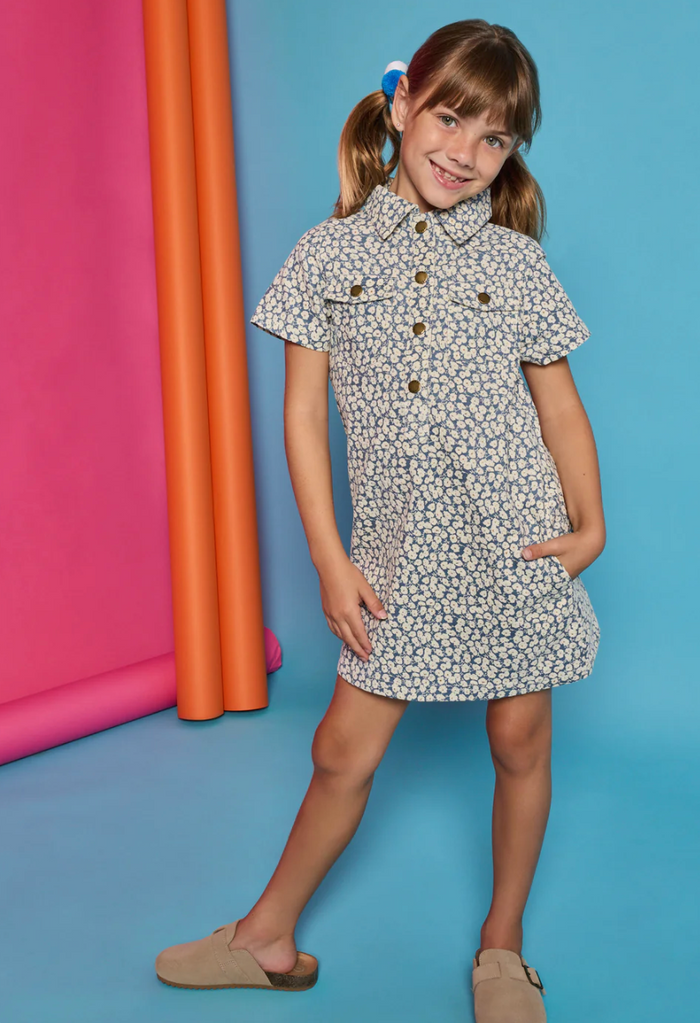 Safari Blue Corduroy Dress