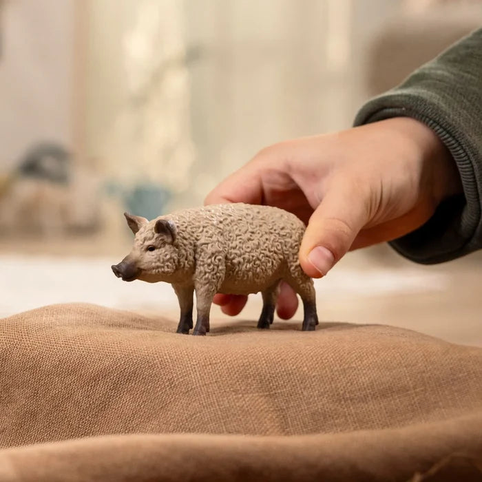 Schleich Mangalica