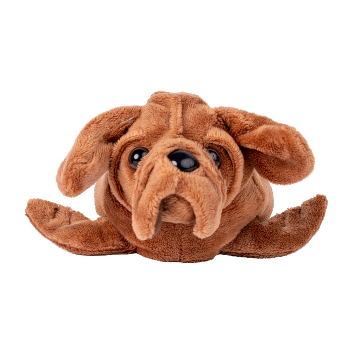 Sea Dog Mini