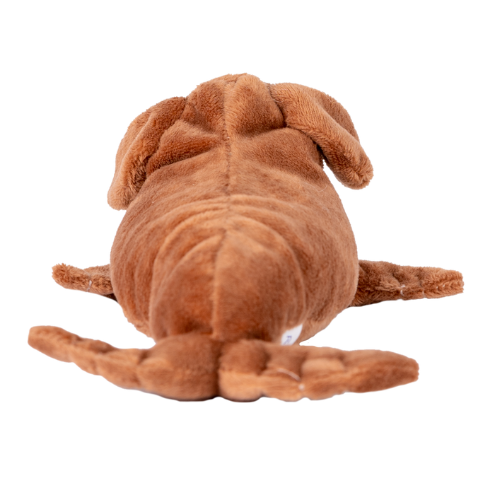Sea Dog Mini