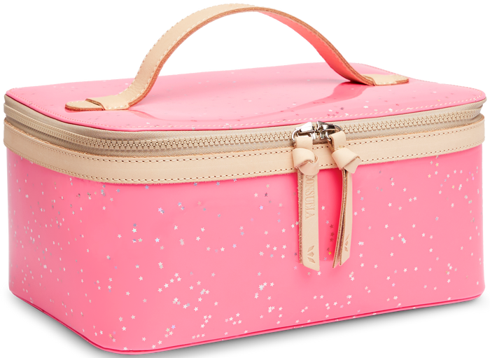 Shine Train Case