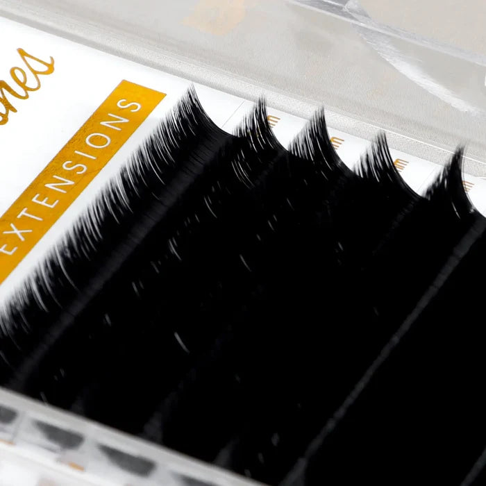 U Curl Easy Fanning Lashes | Volume & Mega Volume| Swaniya Lashes
